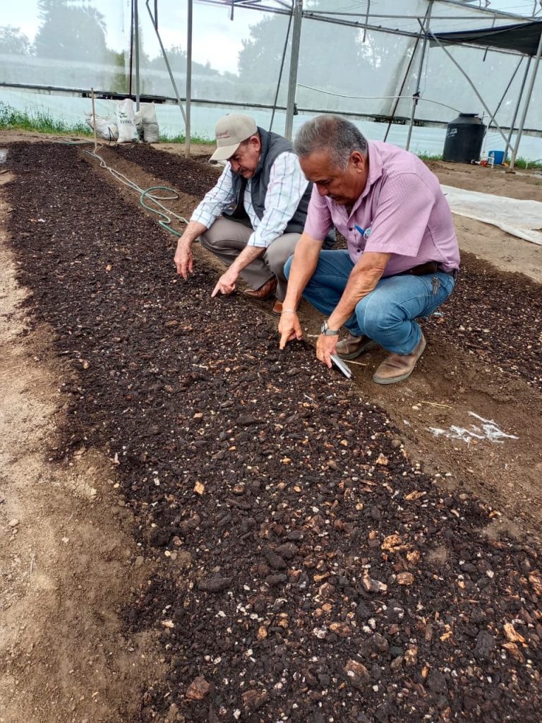 EL NAYARIT DE LA ESPERANZA ESTÁ EN PROCESO. MIGUEL ÁNGEL NAVARRO QUINTERO.