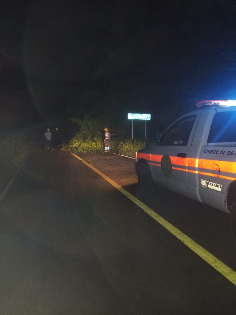 BOMBEROS DEL ESTADO RETIRAN ÁRBOL CAÍDO EN SAN BLAS