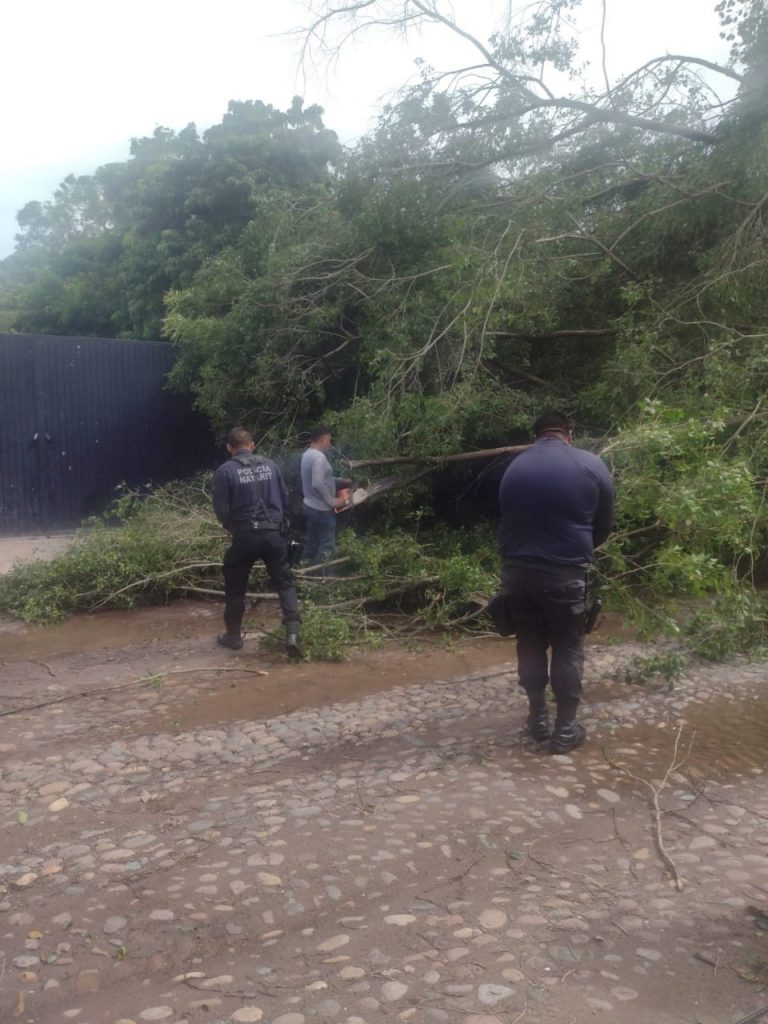 BRINDA SSPC ACTIVIDADES DE LIMPIEZA EN SANTIAGO IXCUINTLA