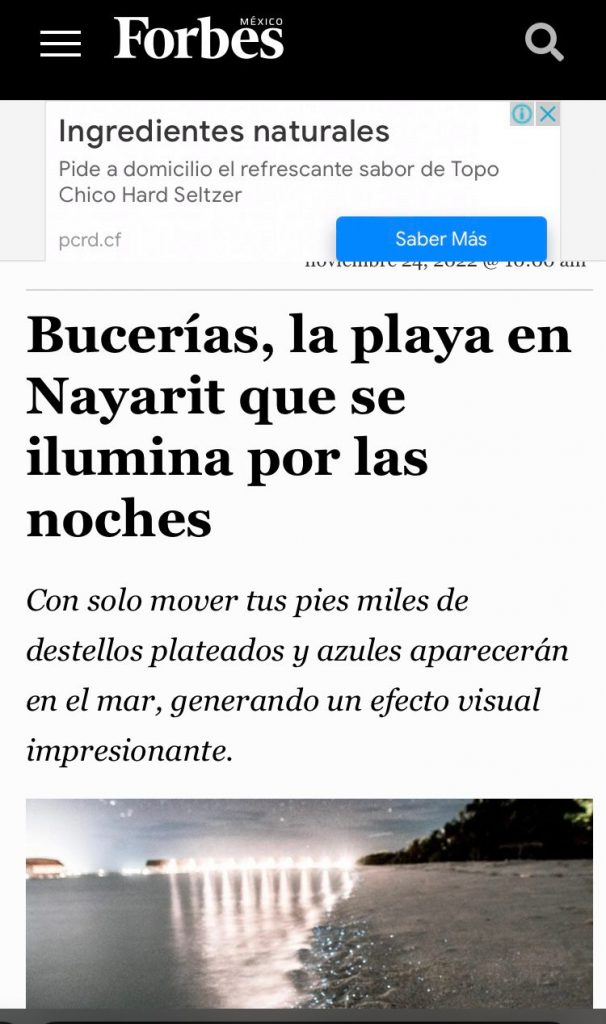 NAYARIT ANTE LOS OJOS DEL MUNDO
