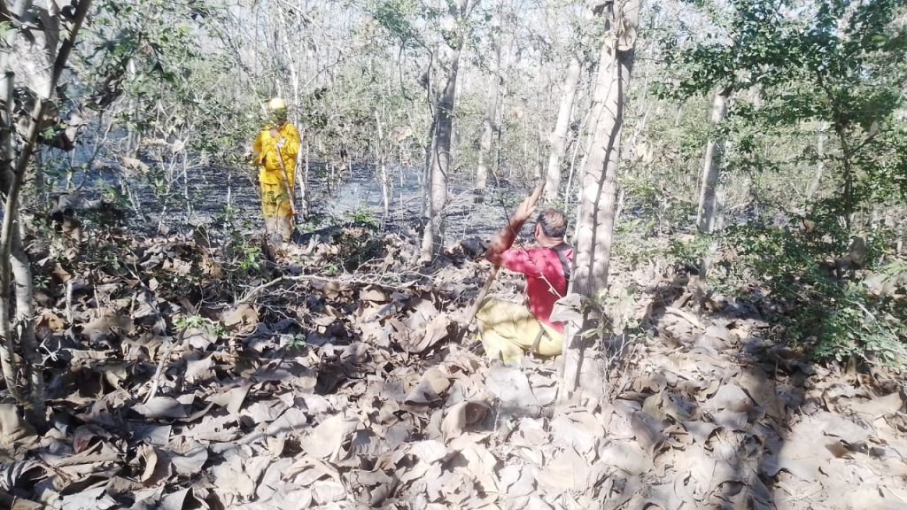 PREVIENEN BOMBEROS DEL ESTADO LA PROPAGACIÓN DE UN INCENDIO DE PASTIZAL EN BAHÍA DE BANDERAS