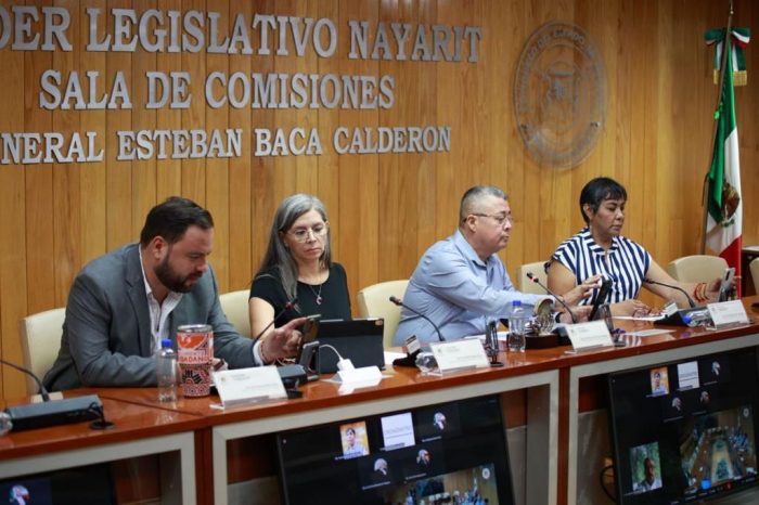 BUSCA PODER LEGISLATIVO INCLUIR EL DERECHO DE LA SALUD MENTAL EN JÓVENES