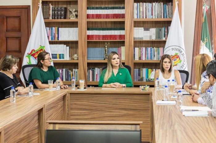 ACUERDAN PRESIDENTAS DE LOS TRIBUNALES SUPERIOR Y DE JUSTICIA ADMINISTRATIVA PROCEDIMIENTO PARA ENTREGA-RECEPCIÓN DE APELACIONES EN MATERIA ADMINISTRATIVA