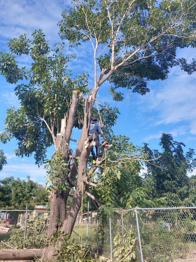 REALIZAN BOMBEROS DE NAYARIT ACCIONES PREVENTIVAS EN LOS PLANTELES EDUCATIVOS DEL MUNICIPIO DE ACAPONETA