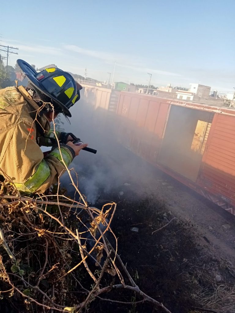 Sofocan Bomberos de Nayarit un incendio de pastizal en la colonia Llanitos de la Capital Nayarita
