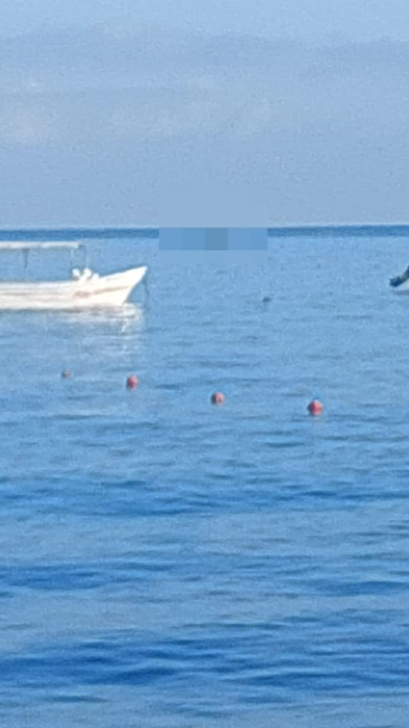 EJECUTA SSPC PROTOCOLO DE ACTUACIÓN ANTE EL DECESO DE UNA BALLENA EN EL MUNICIPIO DE COMPOSTELA