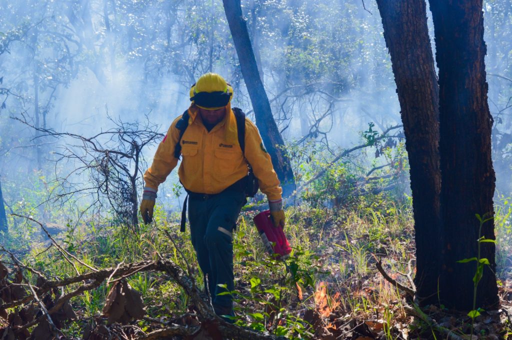 Gobierno de Nayarit y CONAFOR concluyen las acciones de prevención de incendios forestales en el municipio de Santa María del Oro