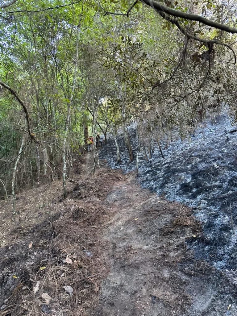 INCENDIO REGISTRADO AYER FUE LIQUIDADO EN SU TOTALIDAD: MANQ