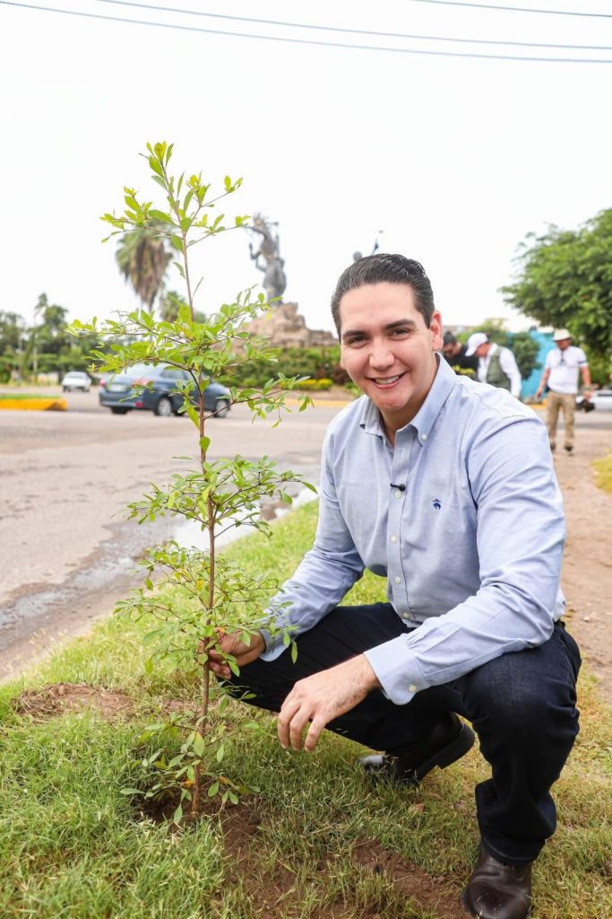 Héctor Santana encabeza Jornada de Arborización en el Crucero de los Indios