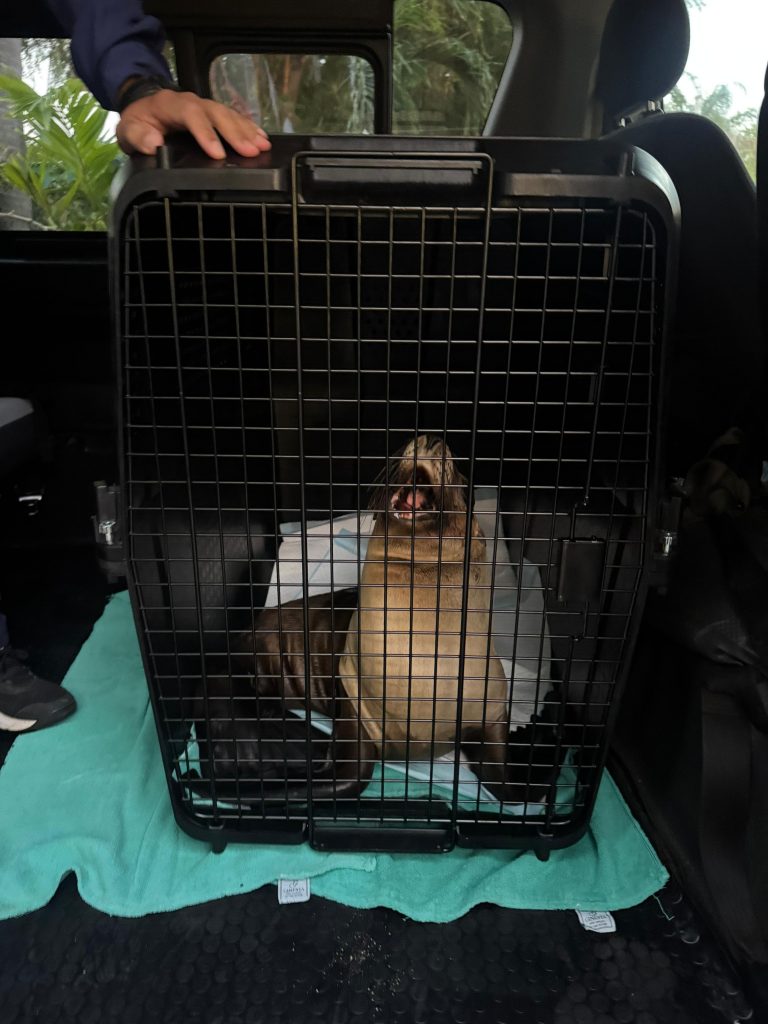 Héctor Santana apoya la cirugía de «Marquitos» en Guadalajara