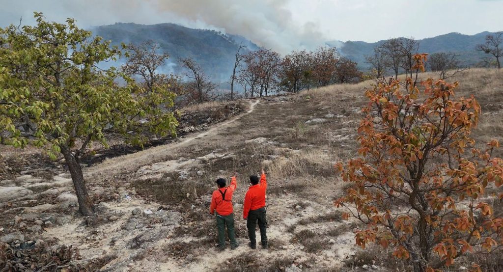 Controlan incendio forestal interestatal en “Loma de los Lobos”, en Ixtlán del Río
