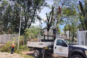 Realiza SSPC podas preventivas en distintos puntos de Tepic