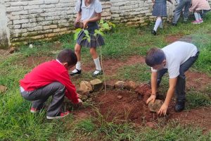 COFONAY fortalece la cultura forestal entre niñas y niños